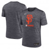 SFG M M NK AC Velocity Tee BLK
